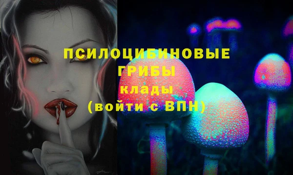 соль курить ск Верея