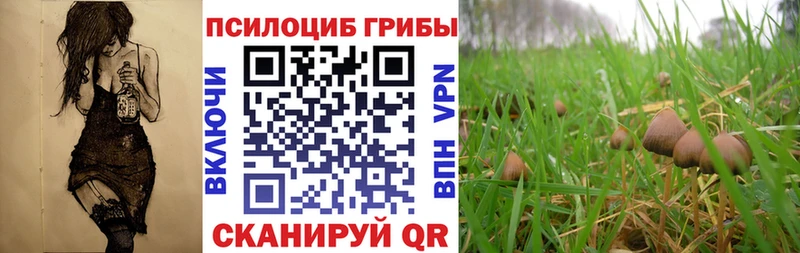 Галлюциногенные грибы MAGIC MUSHROOMS Майкоп